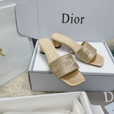 Christian Dior Slippers